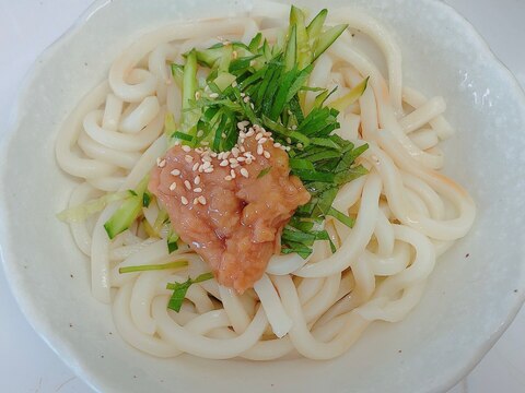 梅しそうどん